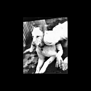 Thick black border around a photograph of a resting dog and a person who seems to have their head wrapped in canvas